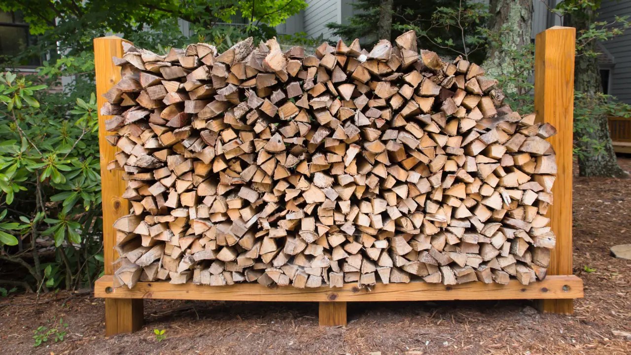 Is Silver Maple Good Firewood? Pros & Cons with Key Stats