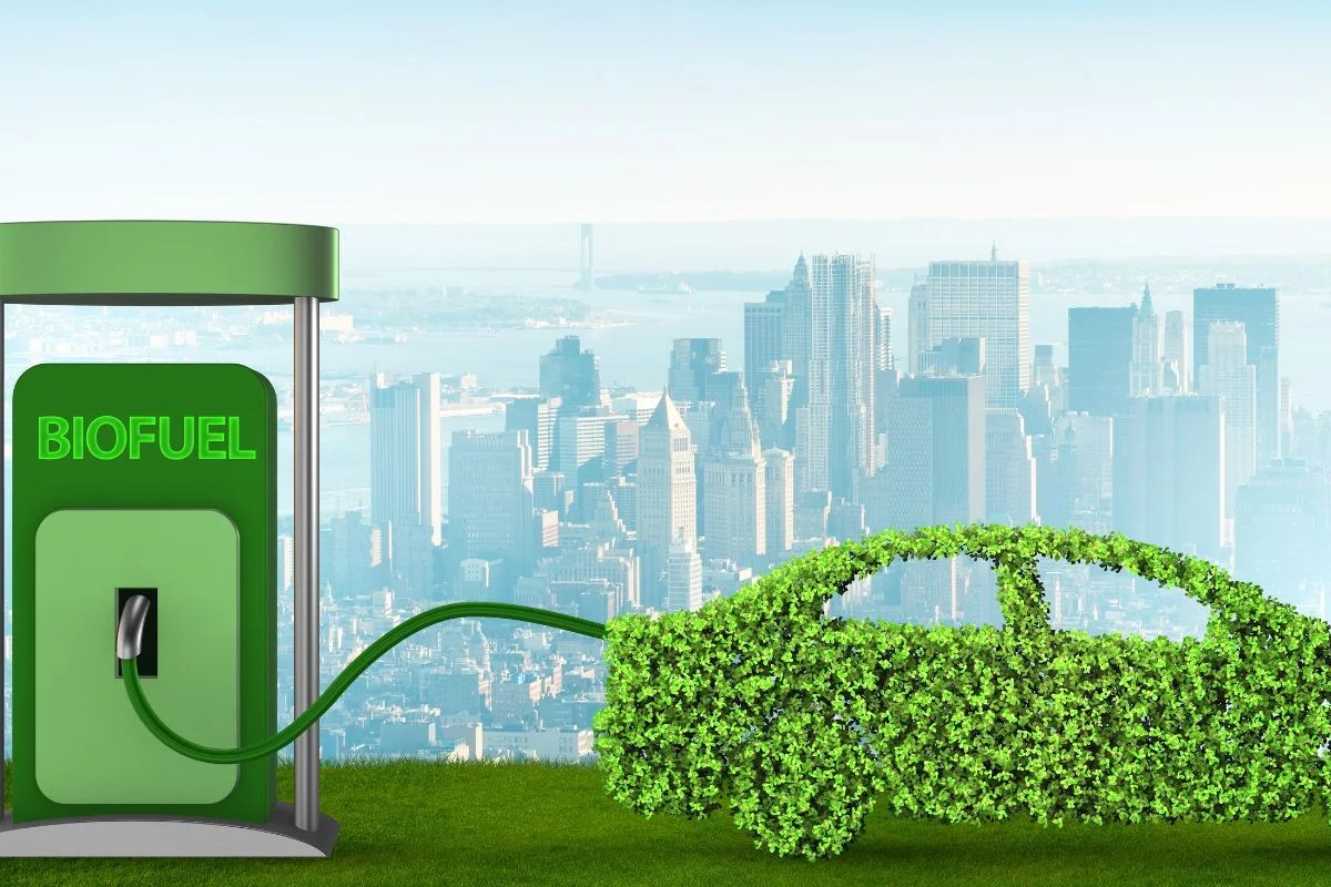 Green Energy The Basics of Bio Ethanol Fuel Fireplace Ideas