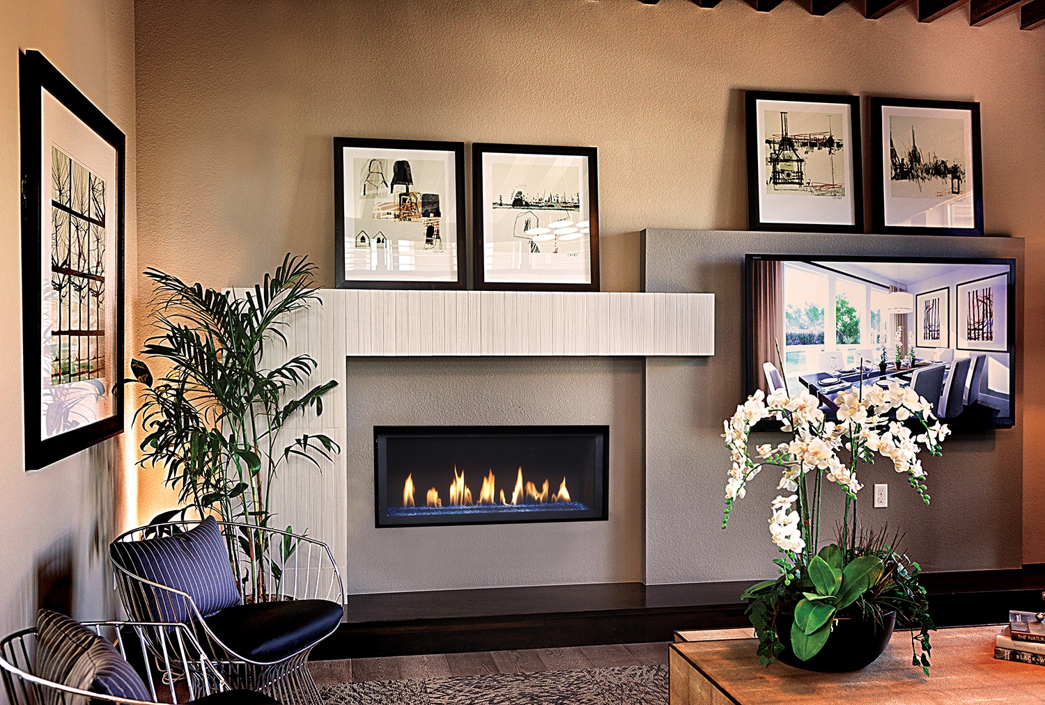 Gas, Wood, or Electric Fireplaces for sale Reno, Sparks, Lake Tahoe and