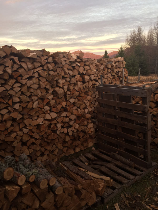 Firewood Lake Placid Saranac Lake Fire Side Wood