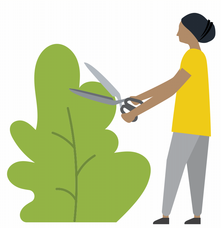 FireSmart BC Landscaping Guide FireSmart BC