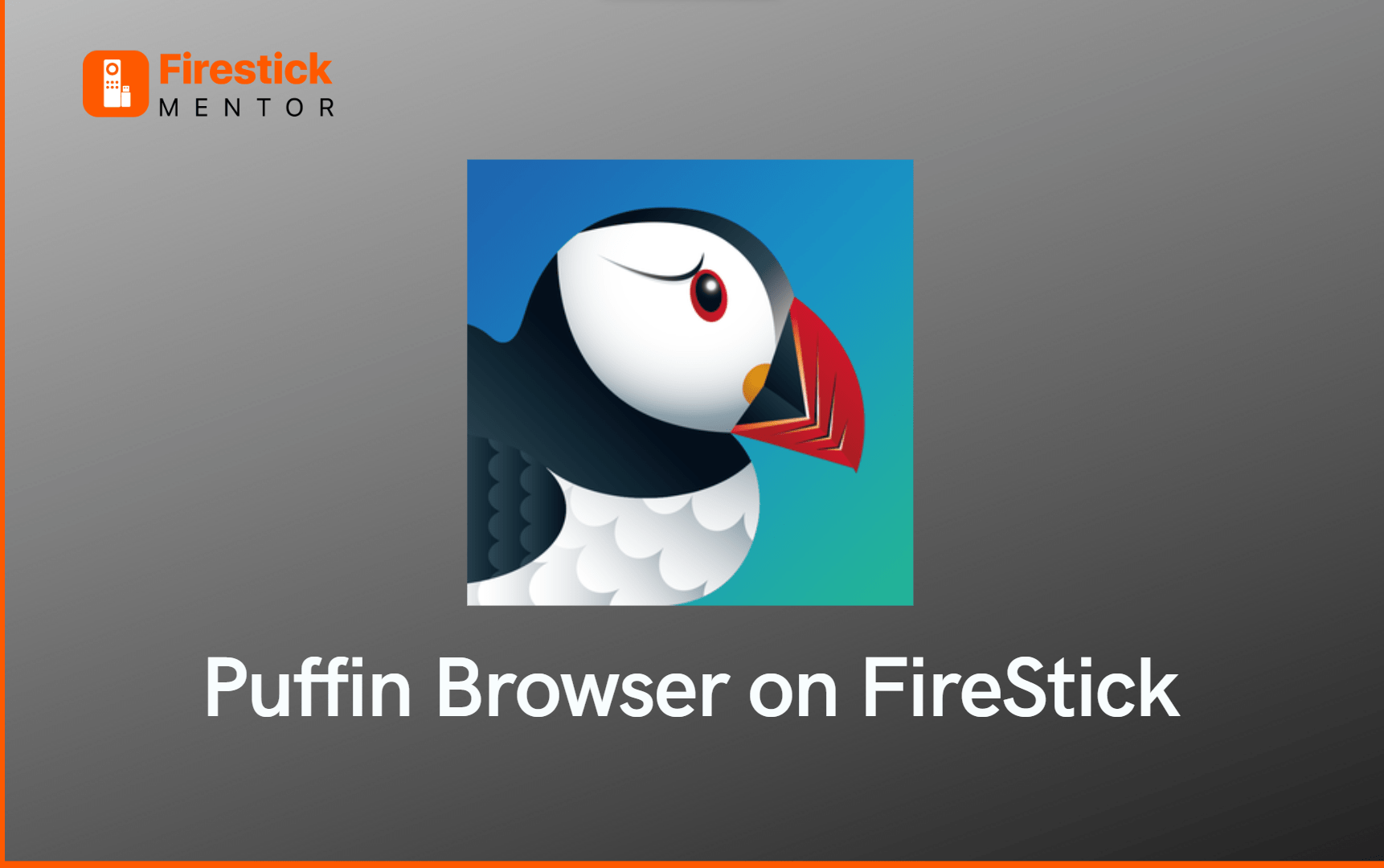 How to Install Puffin Browser on FireStick
