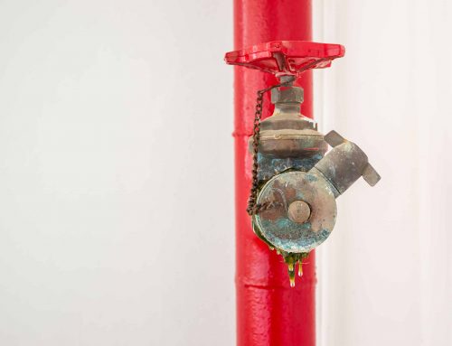 Wet versus Dry Sprinkler System Fire Systems Inc.