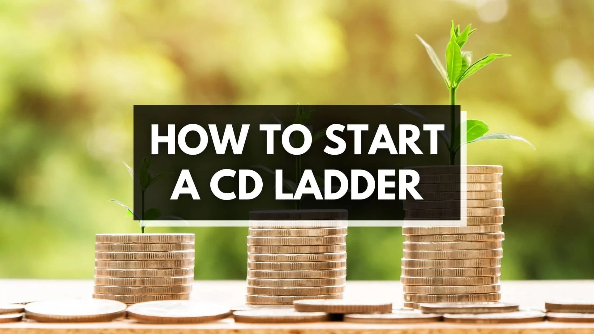 How To Build A CD Ladder How to Easy Make A 5k Profit!