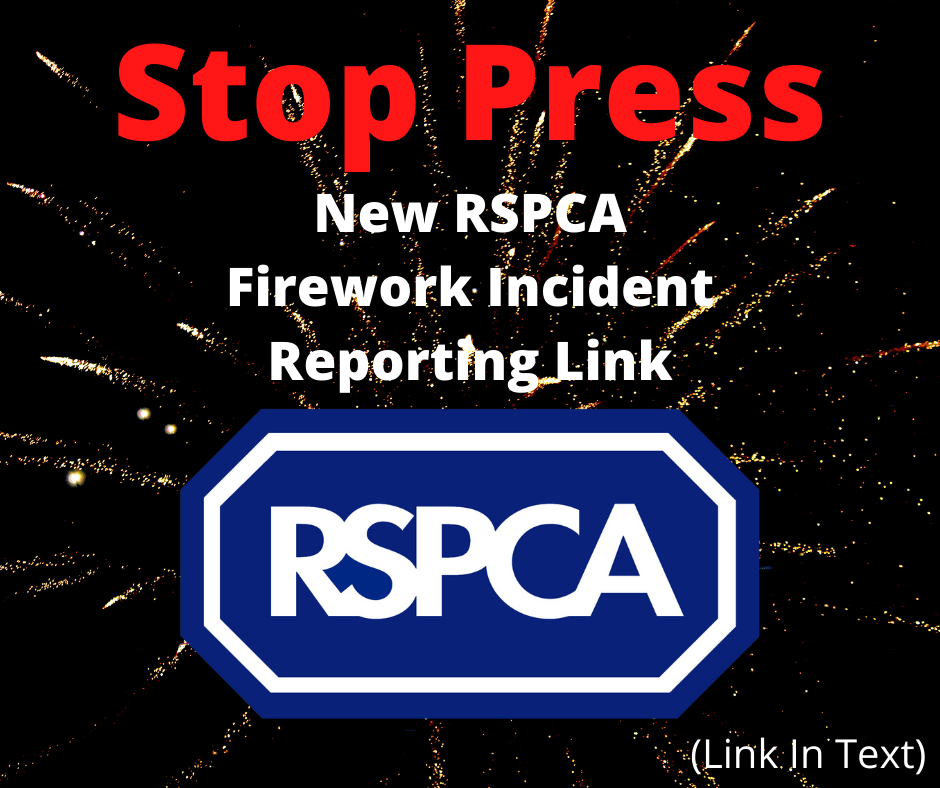 RSPCA Reporting Log The Firework Campaign UK