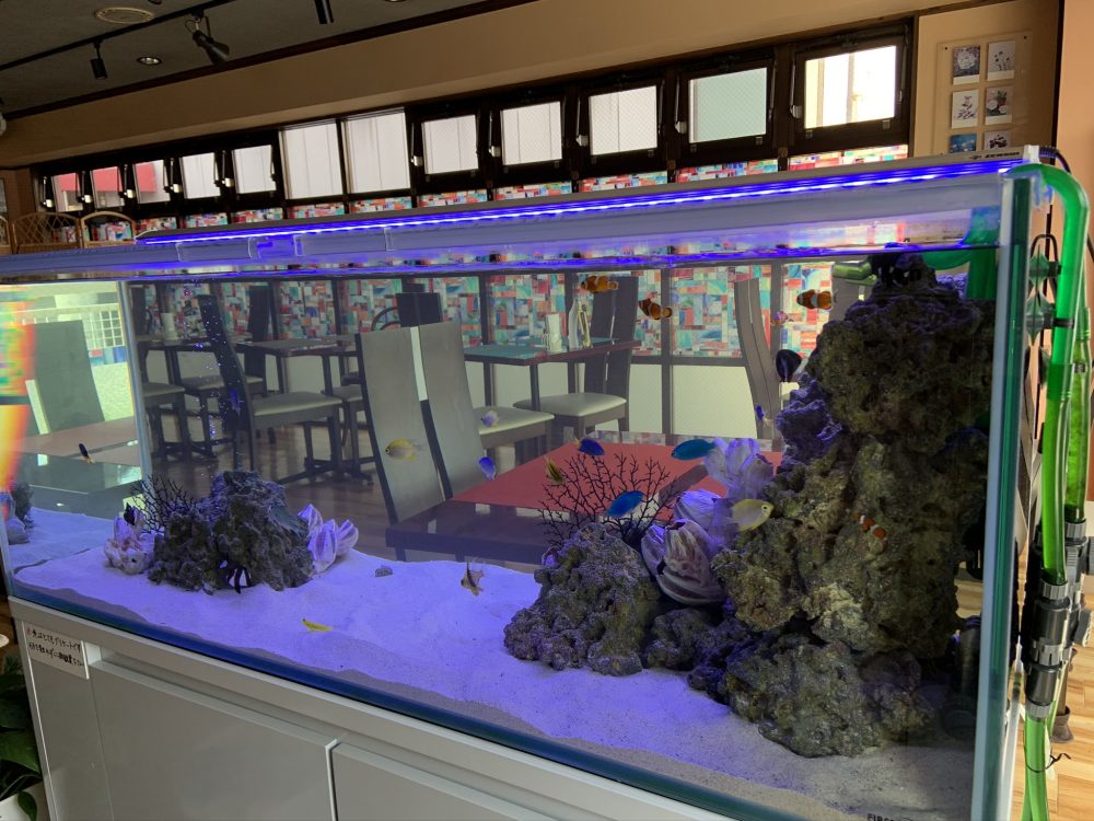 🐠海水水槽🐠 ファーストアクアリウム株式会社│熊本 アクアリウム水槽の販売・メンテナンス