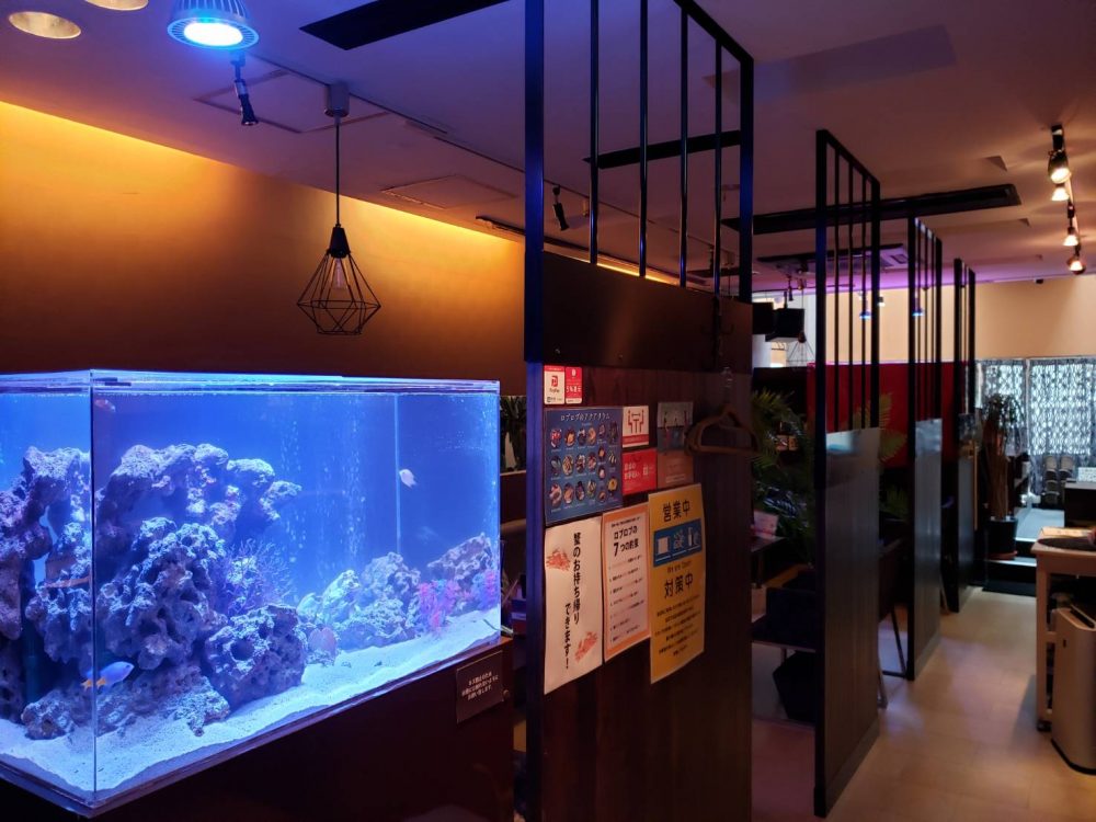 お洒落なアクアリウムのお店 ファーストアクアリウム株式会社│熊本 アクアリウム水槽の販売・メンテナンス