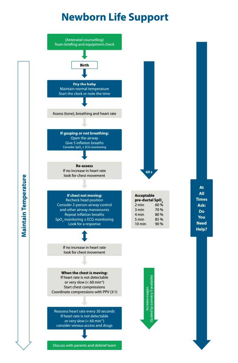 Neonatal (Newborn) Resuscitation 2015 update First10EM