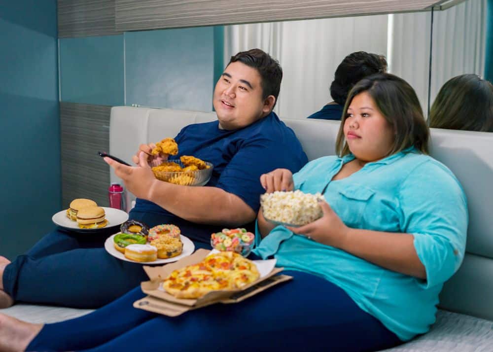 Focusing On Causative Factors In The Global Obesity Epidemic