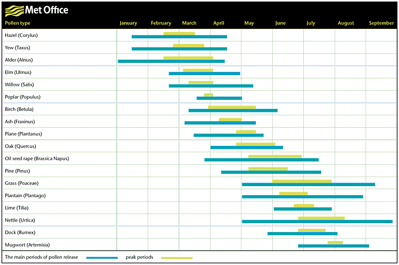 Seven top tips to help you control your asthma hay fever season