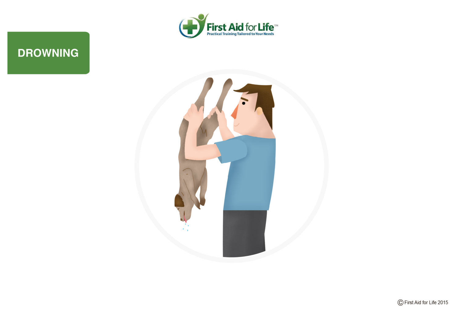 How to Help a Drowning Pet First Aid for Pets