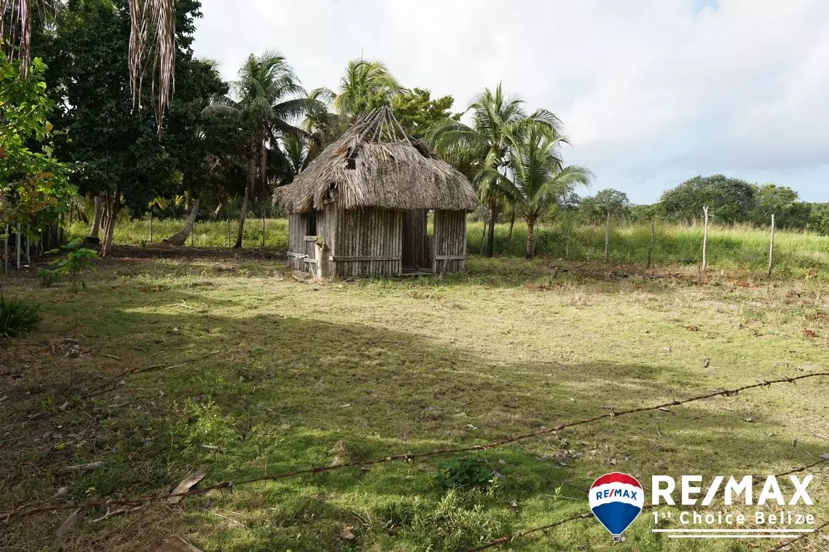 L4450 Consejo Village Lot RE/MAX 1st Choice