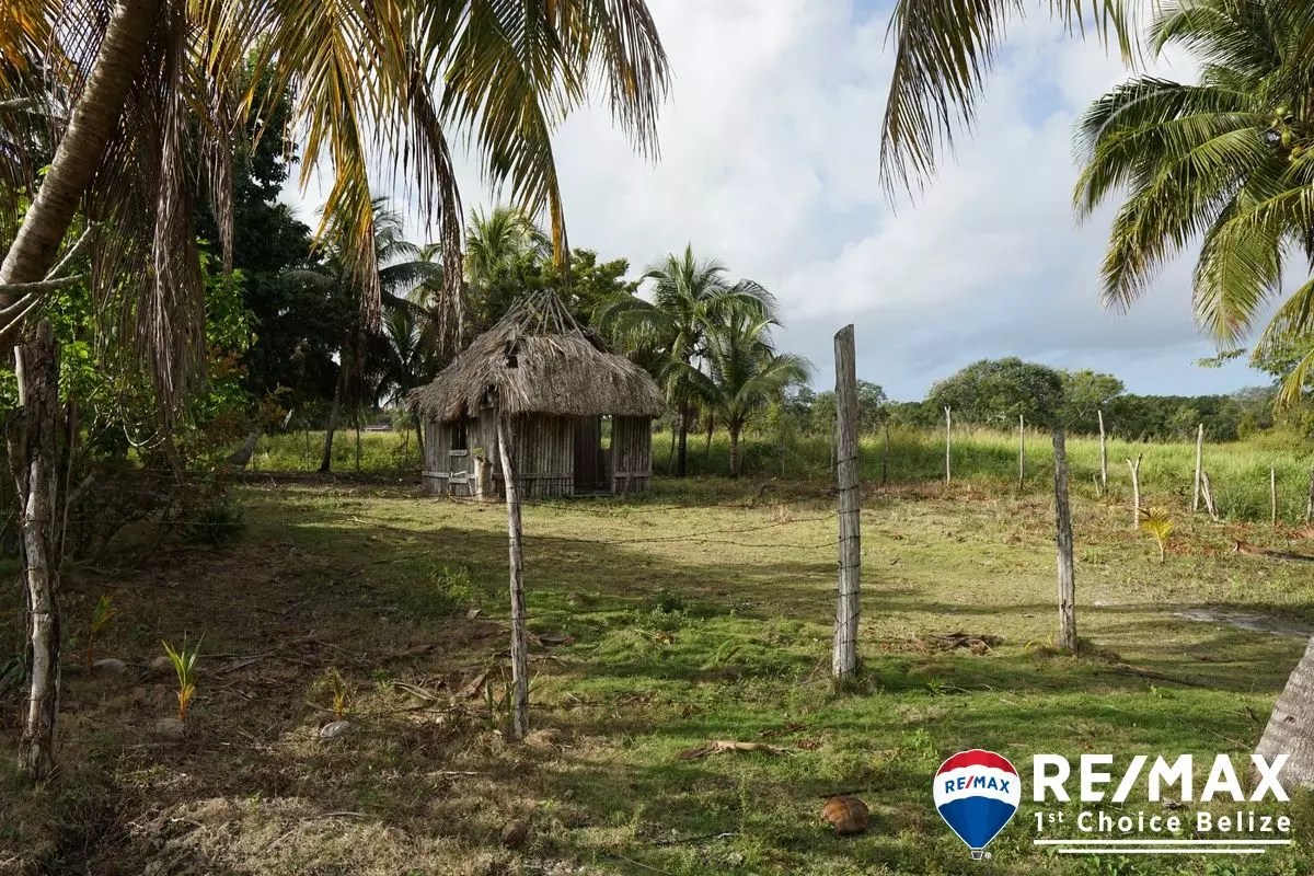 L4450 Consejo Village Lot RE/MAX 1st Choice