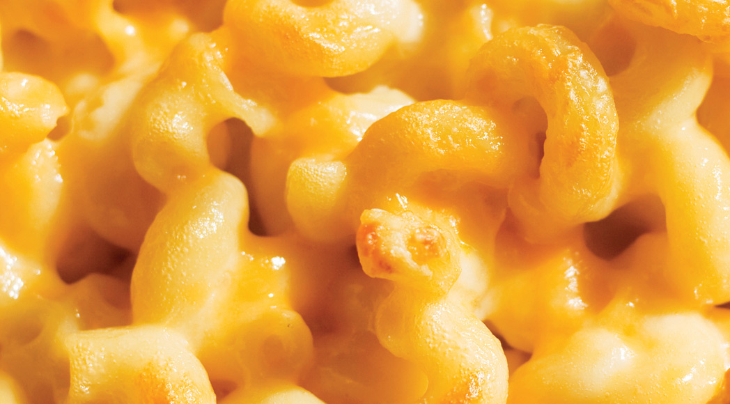 Cheese & Dairy Products Applications First Choice Ingredients a