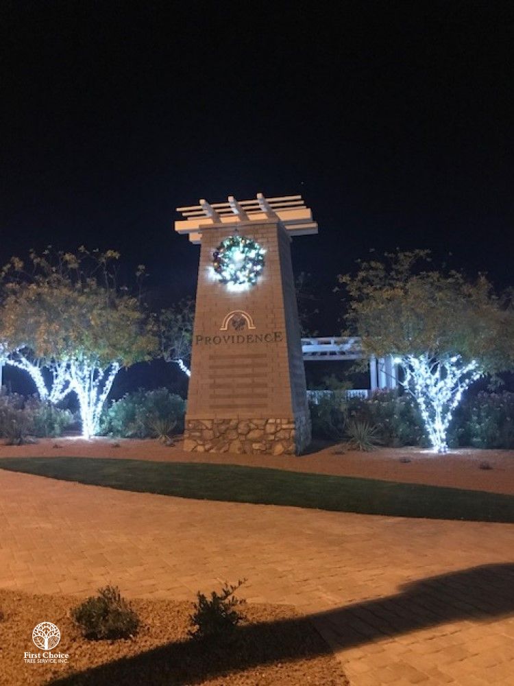 HOA Community Grounds Maintenance First Choice Tree Service