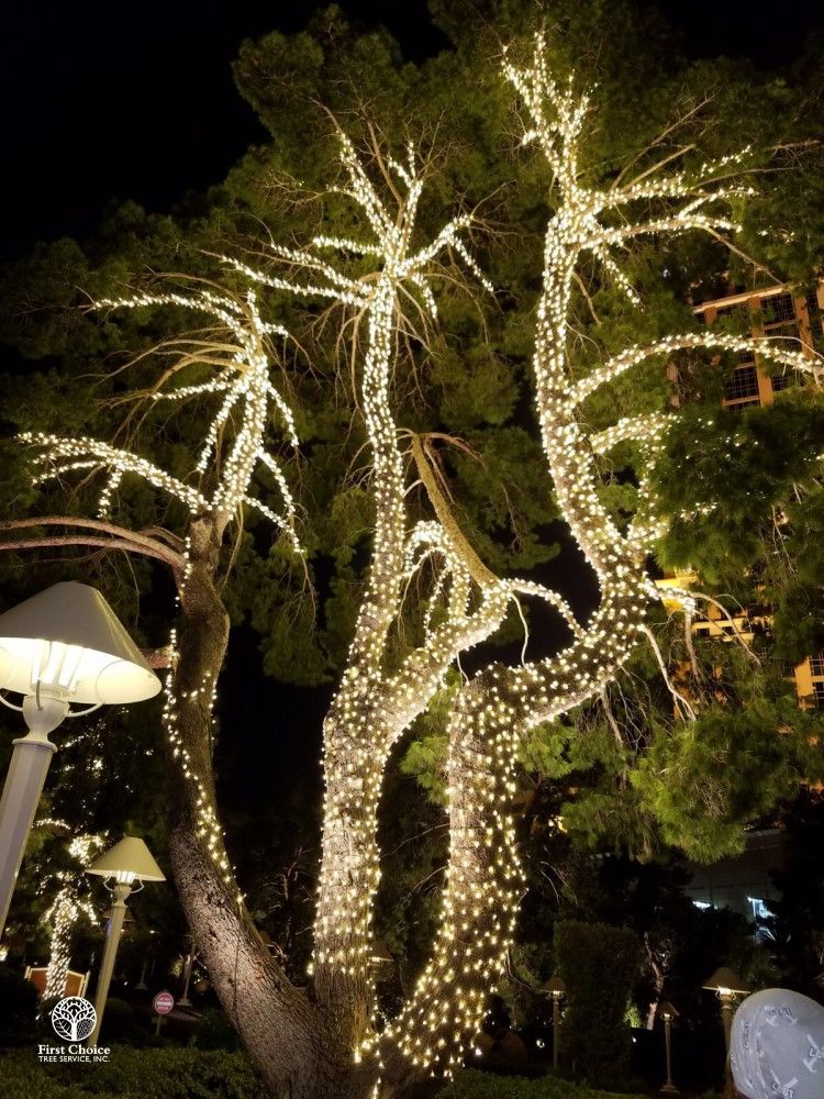 HOA Community Grounds Maintenance First Choice Tree Service