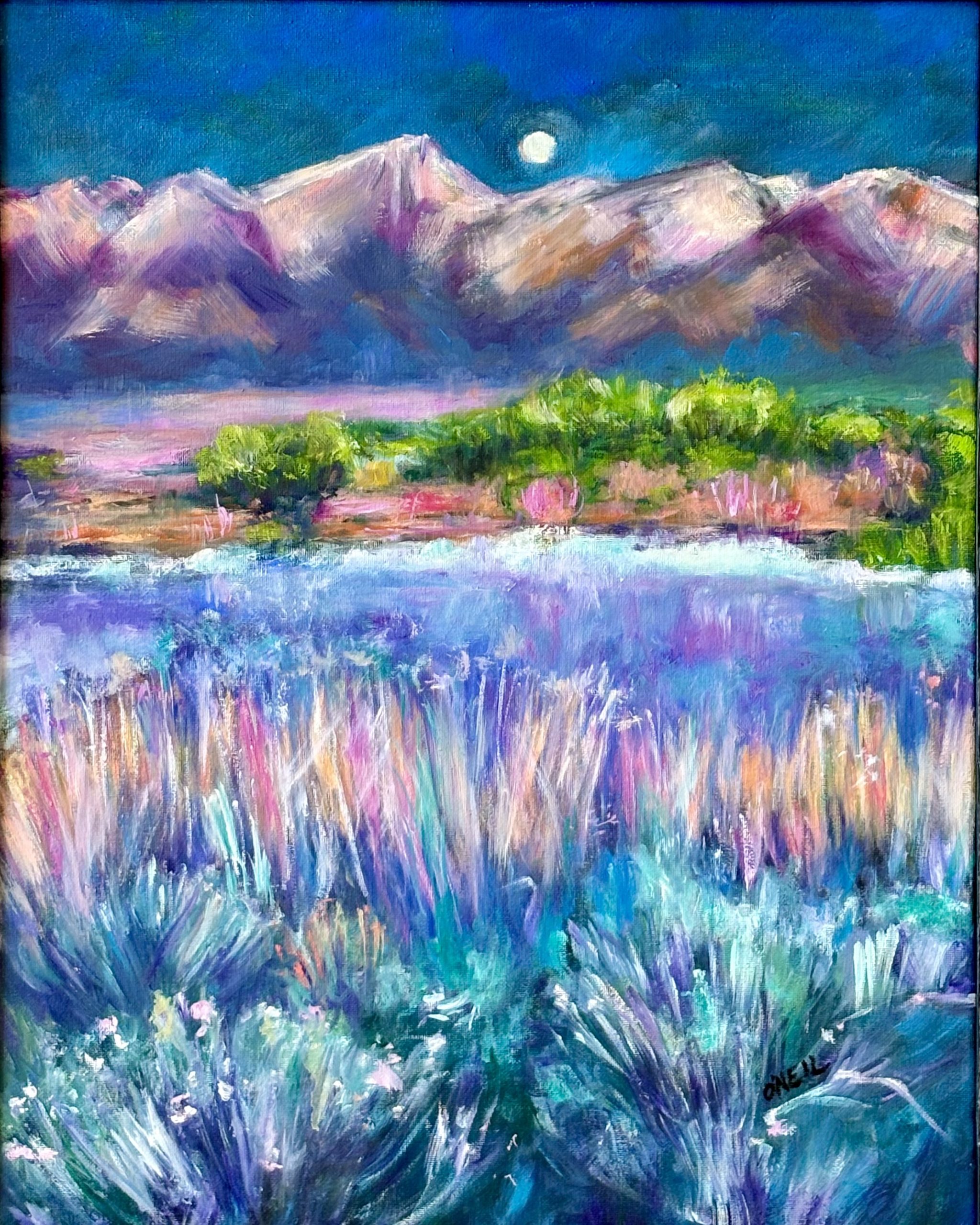 O'Neil Santa Fe Sunset The Gallery at The Workspace