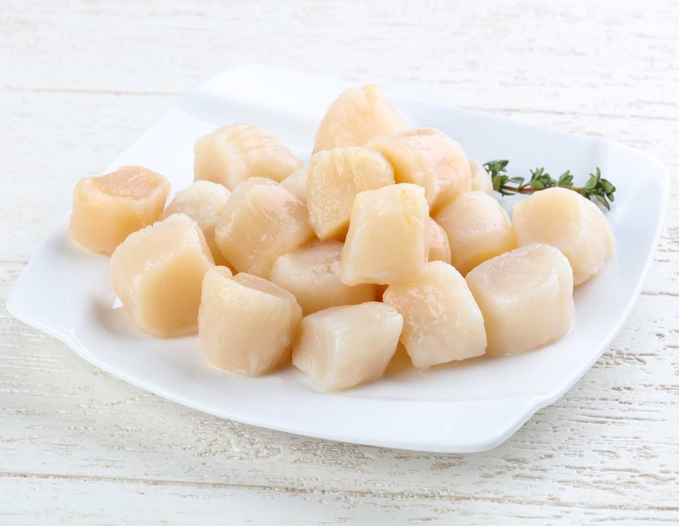 Scallops First Class Florida Keys Seafood Market