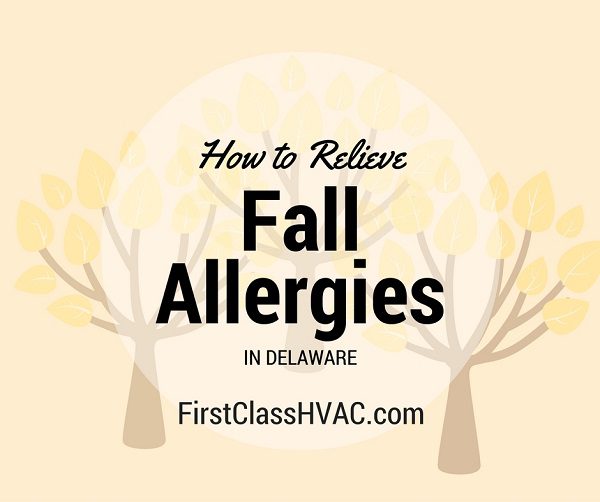 How to Relieve Fall Allergies in Delaware First Class