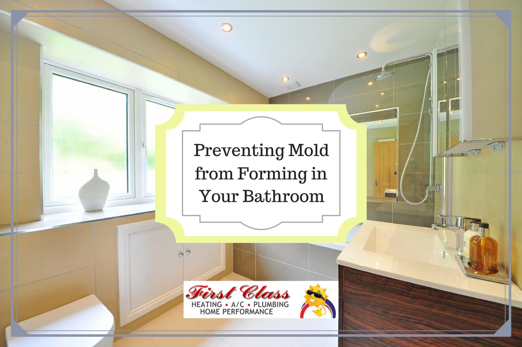 Preventing Mold From Forming In Your Bathroom First Class