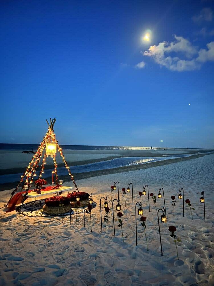 First Coast Picnics Luxury Popup Picnic Company