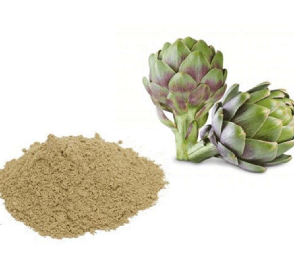 Dried artichoke powder