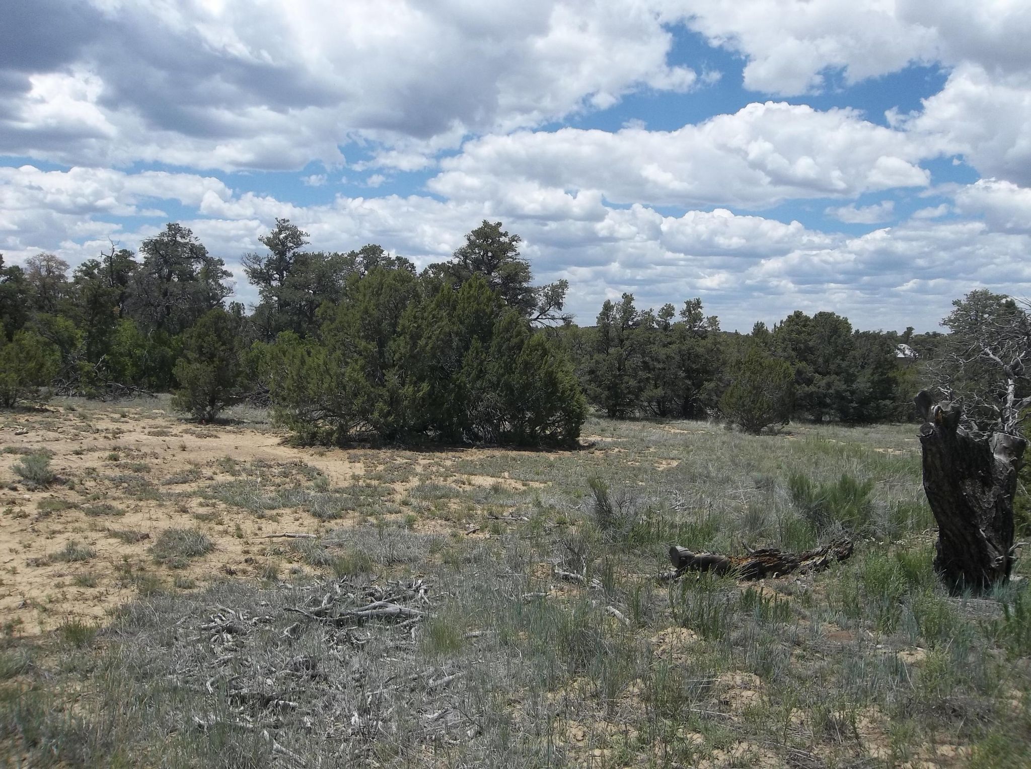 Business Funding in Candy Kitchen, New Mexico First Down Funding