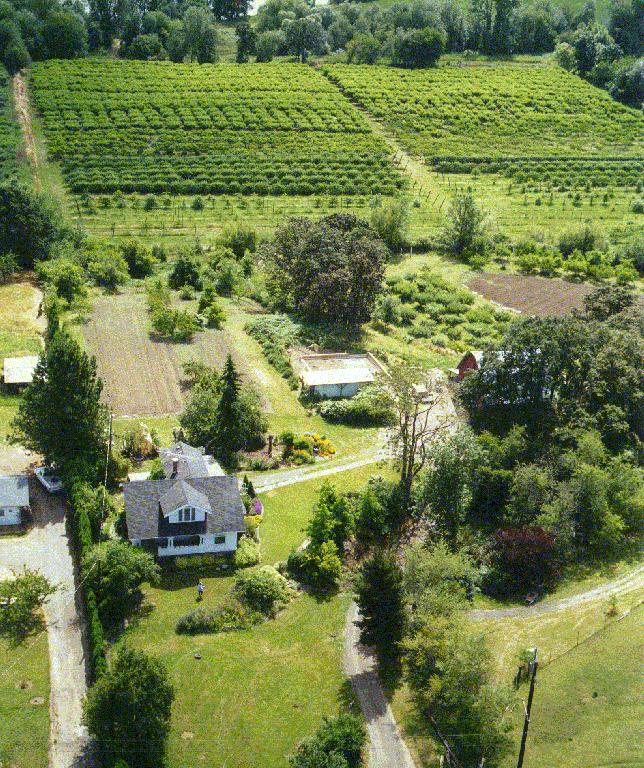 Aerial view of the farm