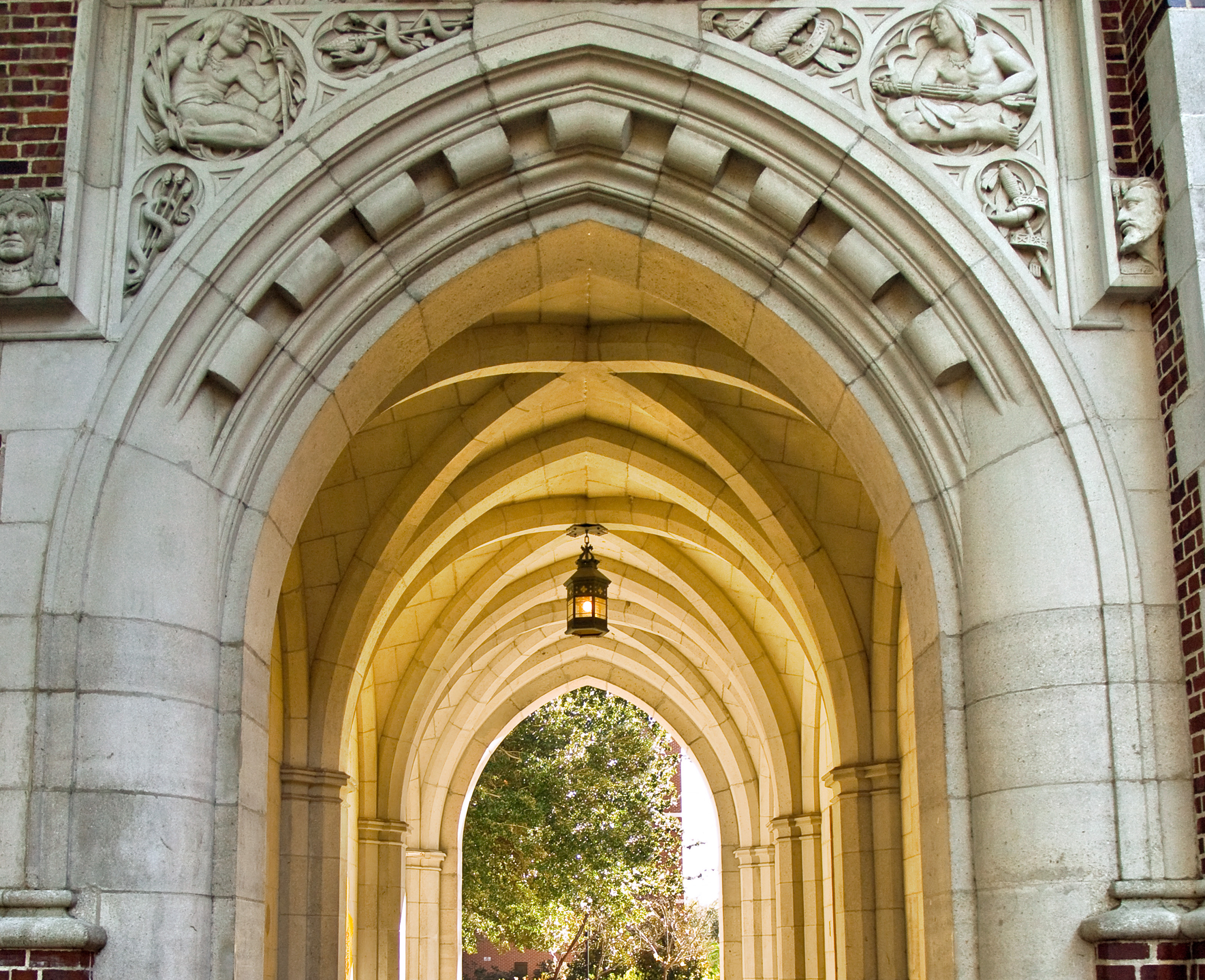 FirstGen Spotlight on Campus firstgeneration.ufsa.ufl.edu