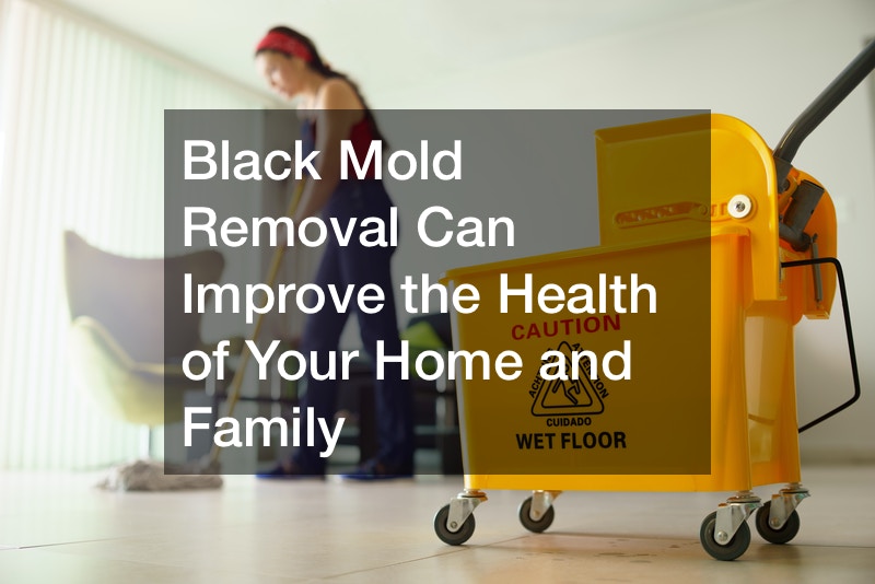 Black Mold Removal Can Improve the Health of Your Home and Family