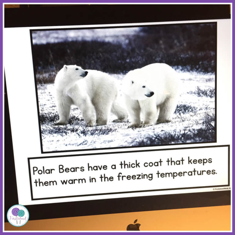 Polar Bear Activities For First Grade Firstieland