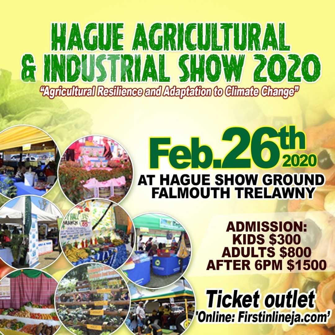 HAGUE AGRICULTURAL AND INDUSTRIAL SHOW 2020 First In Line Entertainment Ltd.