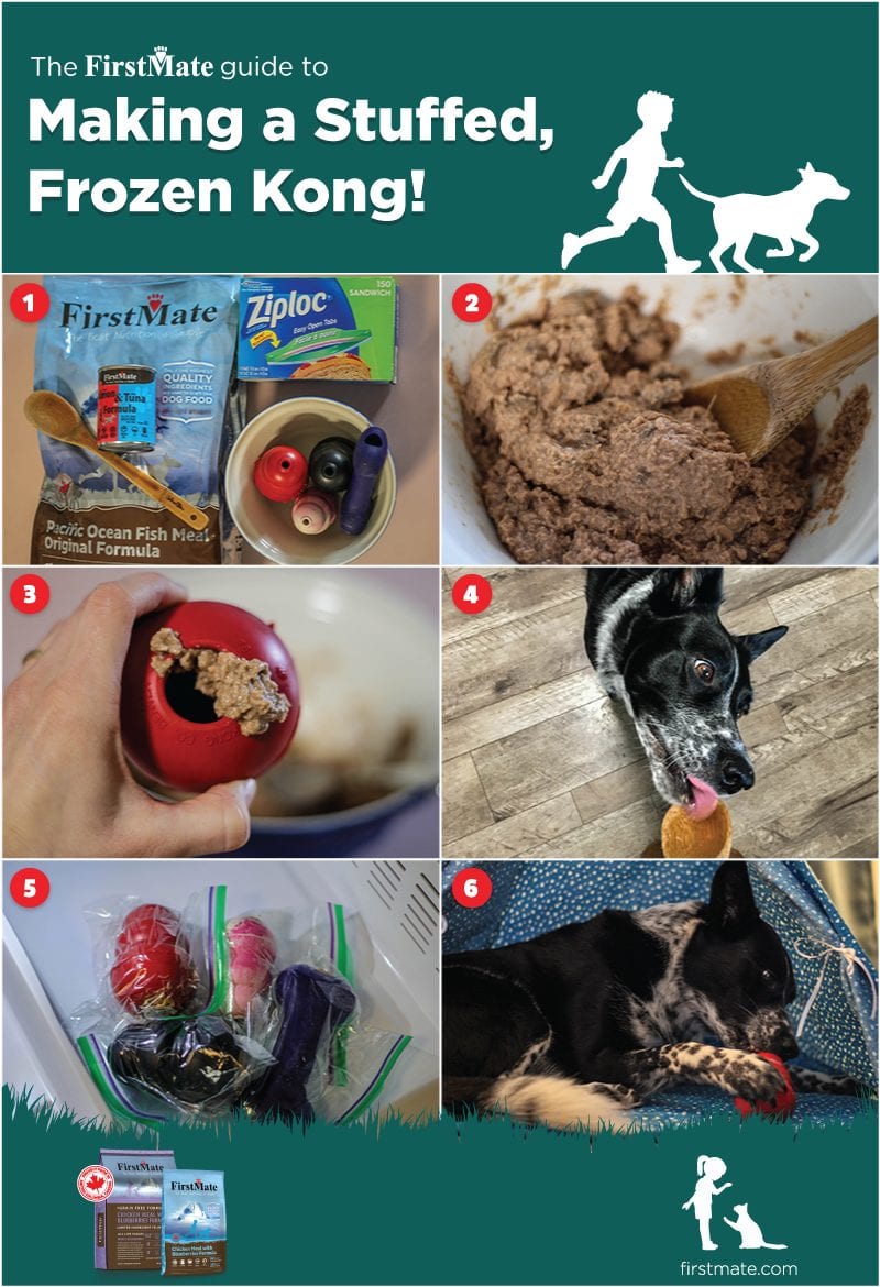 How to Make a Stuffed, Frozen Treat FirstMate Pet Foods