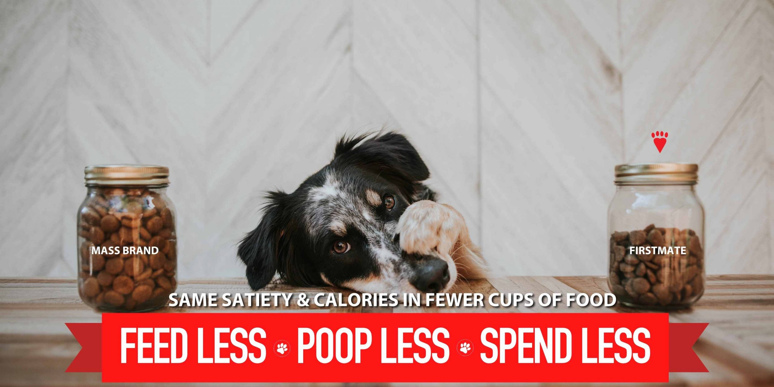 Do Dogs Poop Less In Hot Weather