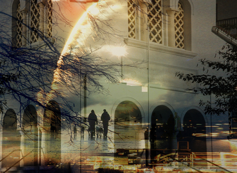 Walking the Dogs © Sarah Vernon