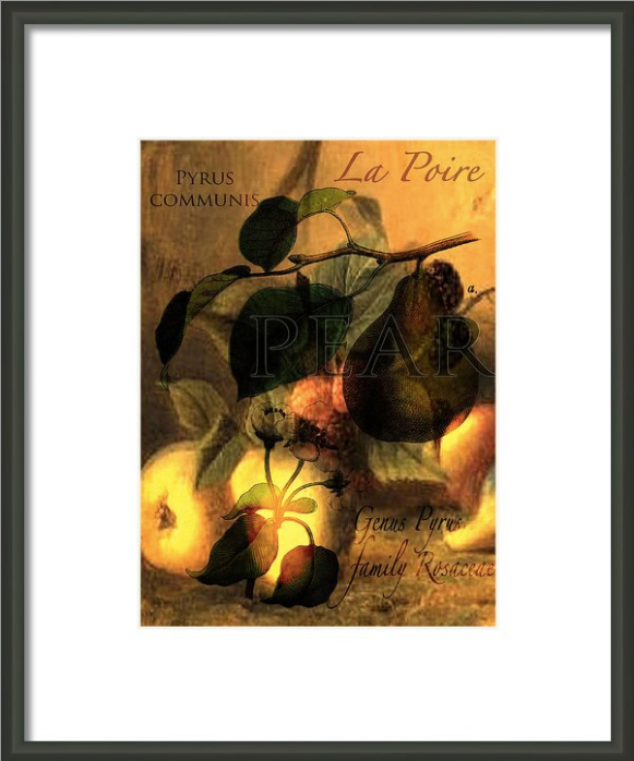 La Poire #1 © Sarah Vernon