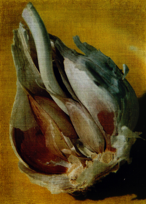 Garlic is for Heroes © First Night Design