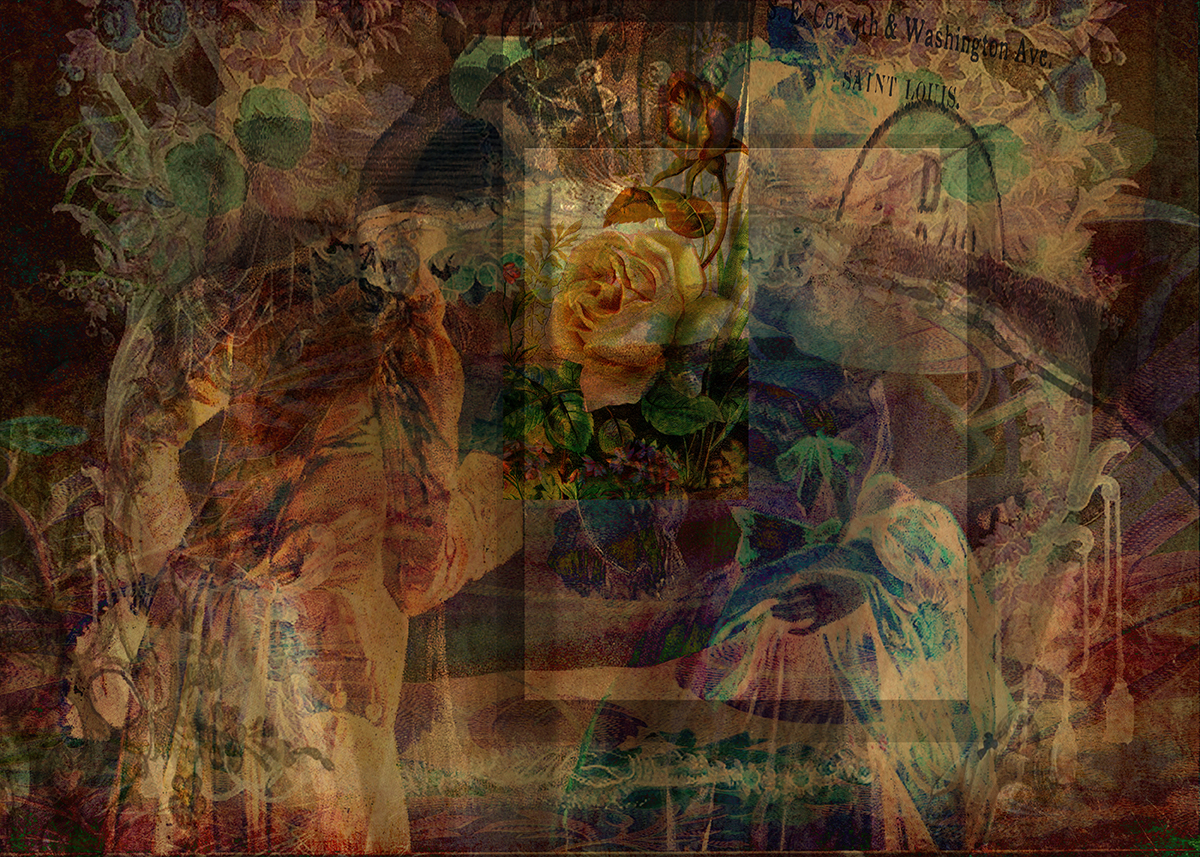 Oriental Glimpse © Sarah Vernon