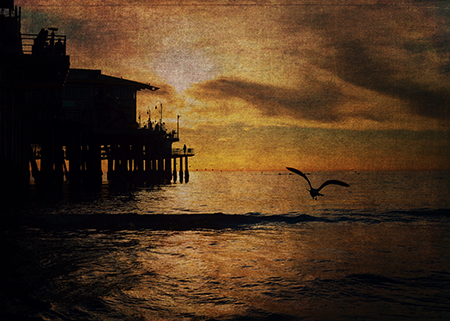 Photo Unsplash
Texture - 2LO Haunting 14 & 2LO Haunting 23 - “2 Lil’ Owls”:http://2lilowls.com.

Original & vintage art © First Night Design [www.firstnightdesign.wordpress.com]