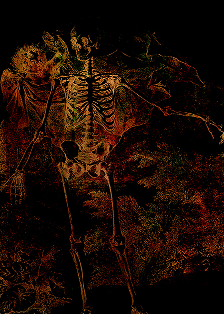 Be Afraid, Be Very Afraid! © Sarah Vernon
