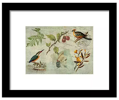 Framed print from Fine Art America