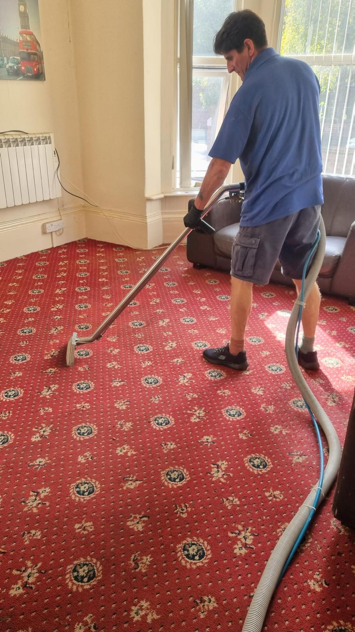 The Essential Guide to Carpet Cleaning Tips and Tricks for a Spotless