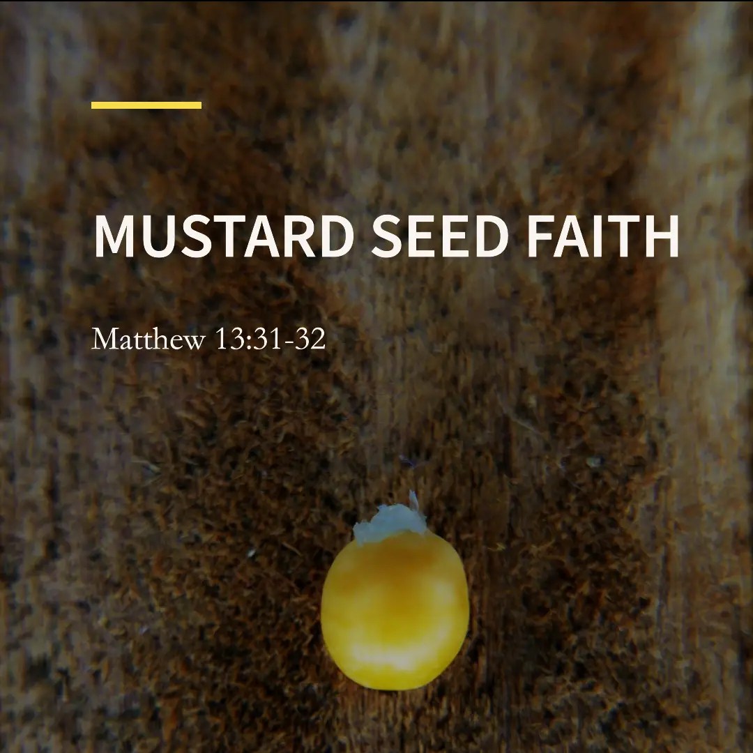 Mustard Seed Faith First Presbyterian Church Matawan, NJ