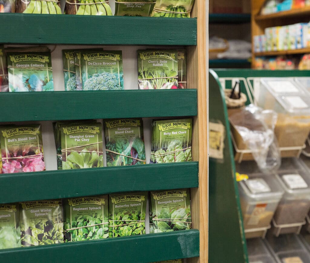 What Can You Buy With Food Stamps/EBT/SNAP? Answered First Quarter