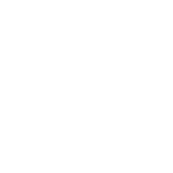 Video Surveillance First Security Associates