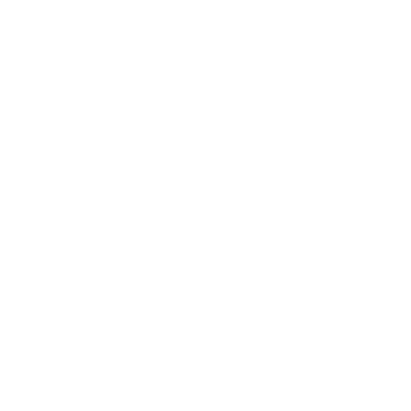 Executive Protection First Security Associates