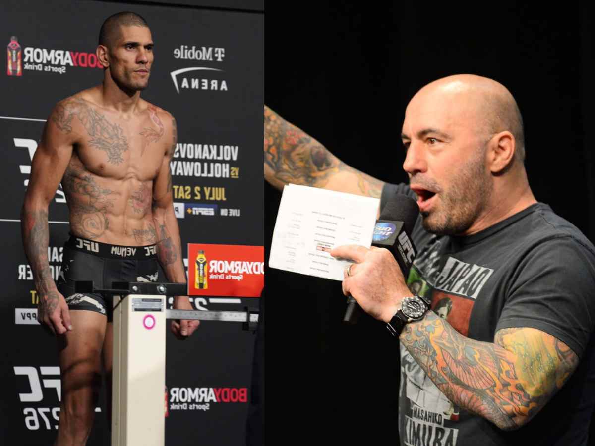 "It is a mistake by Jamahal…" Joe Rogan breaks down Herb Dean