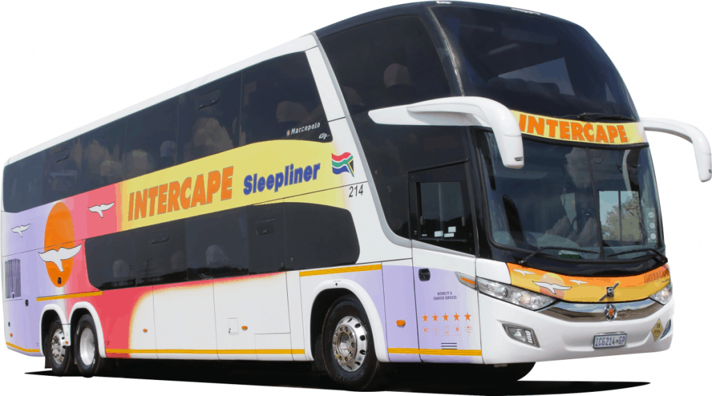 Domestic Flights, Buses, and Trains First Time Cape Town