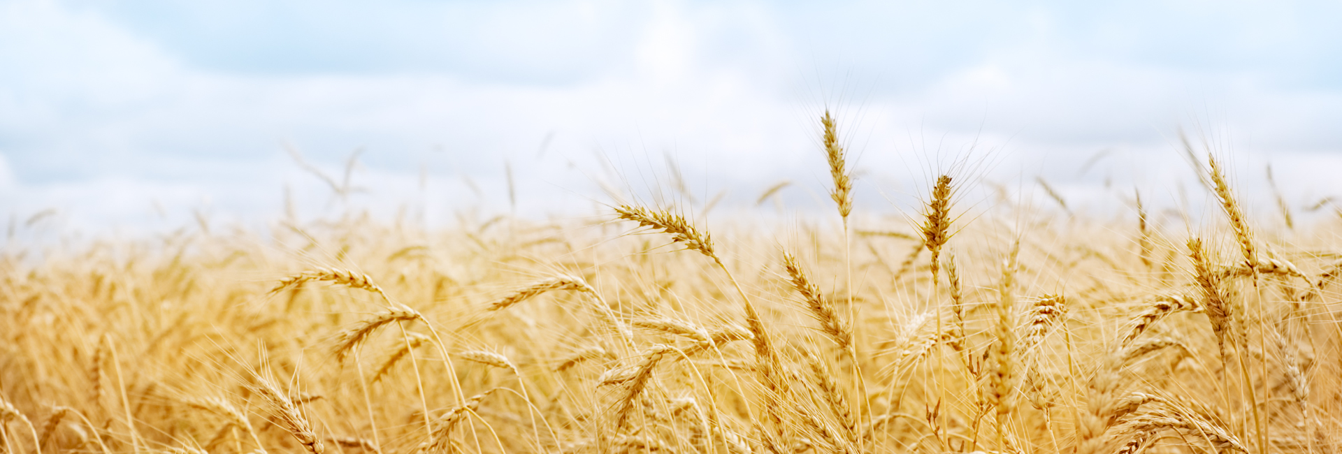 The New Hope Food Pantry First United Methodist Church Vandergrift, PA