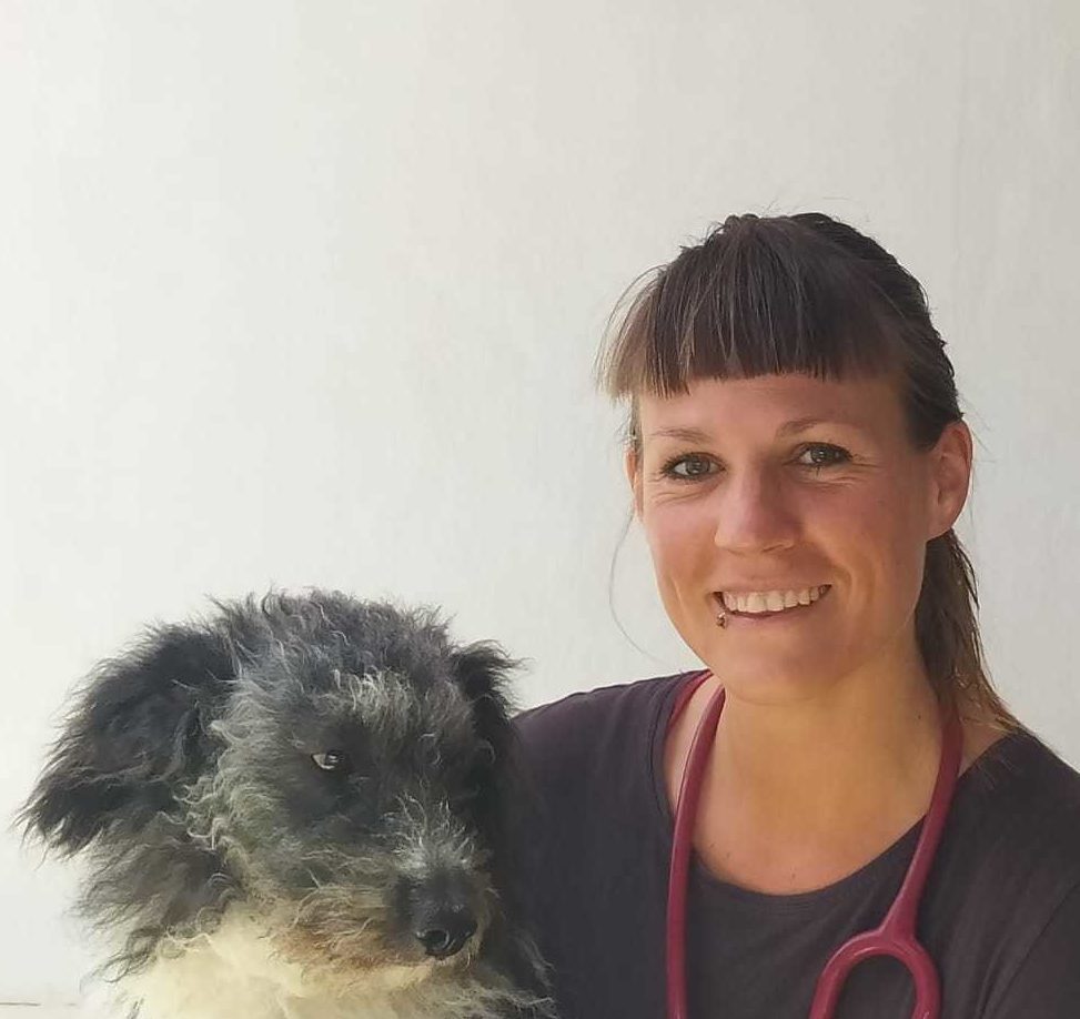 Unsere Tierärzte FirstVet